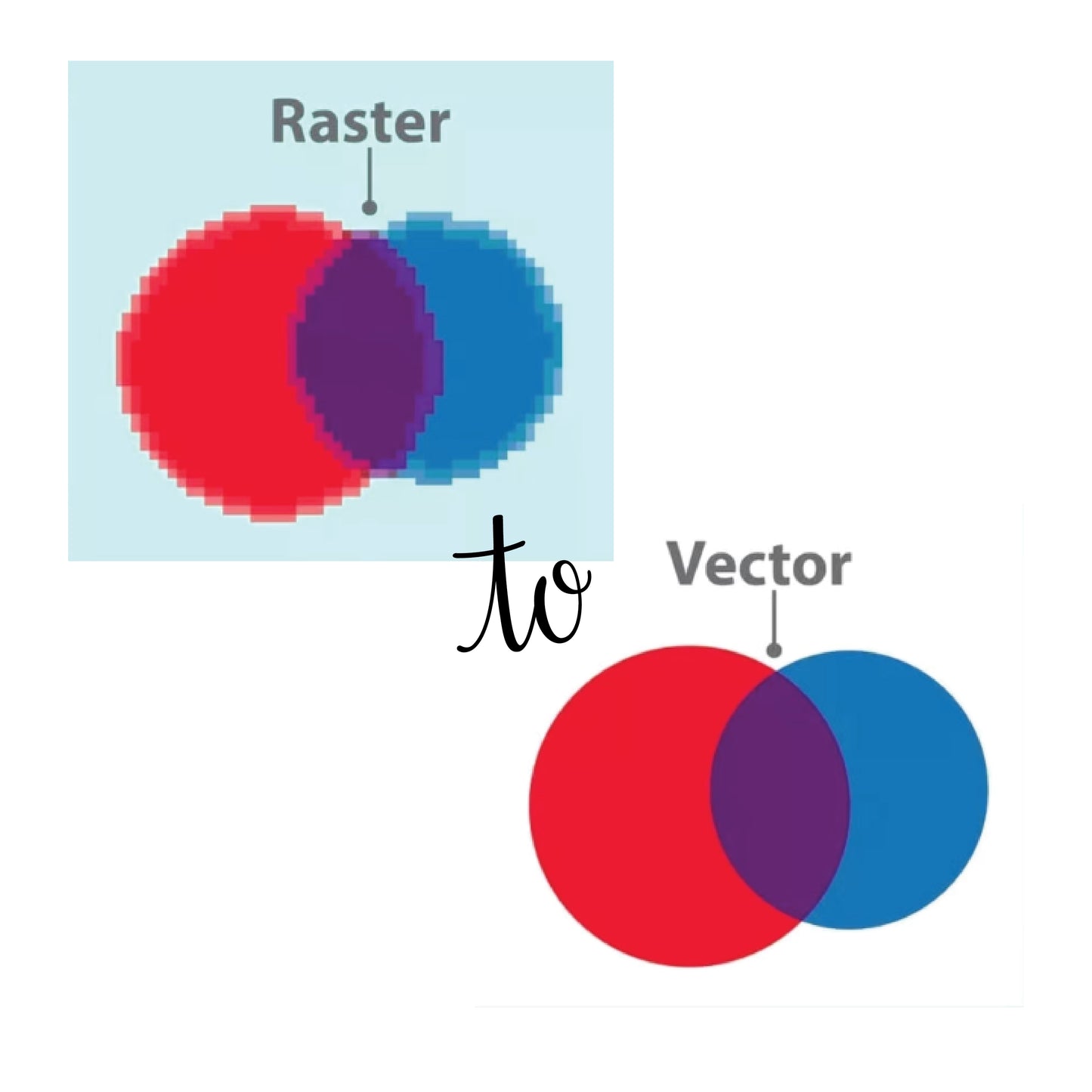 Logo Vector Conversion