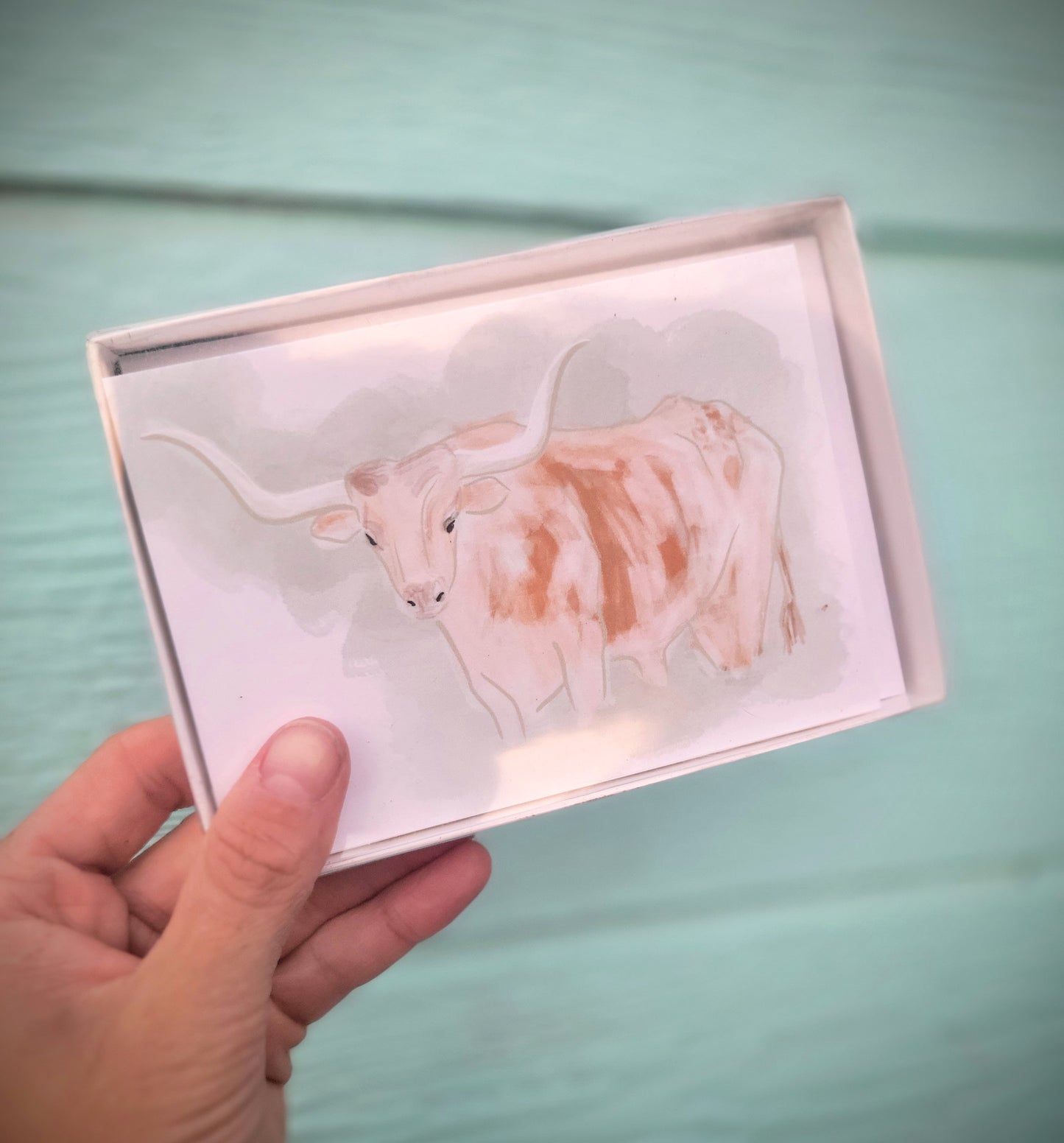 Longhorn Boxed Note Cards