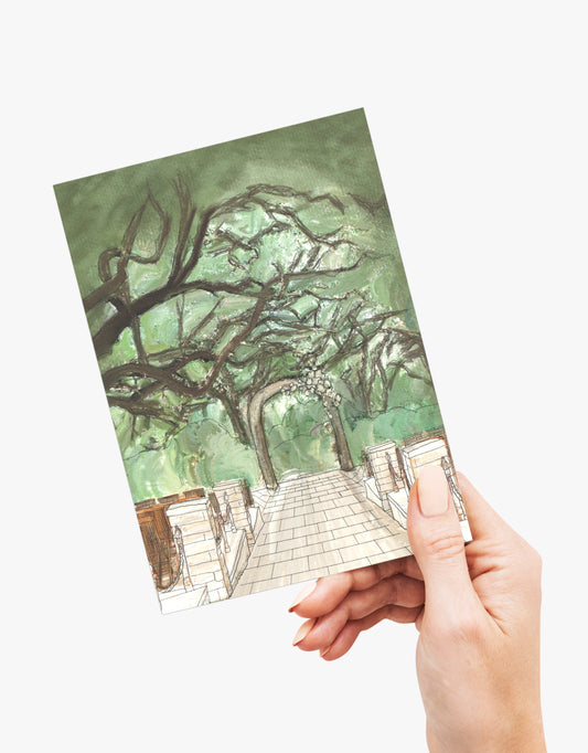 Camp Lucy Ceremony - Dripping Springs Series Painting Post Cards