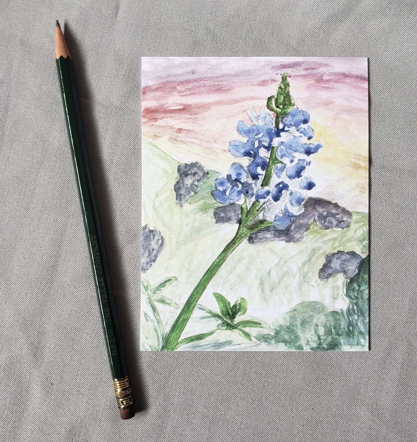 Texas Bluebonnet - State Flower Watercolor Painting Post Cards