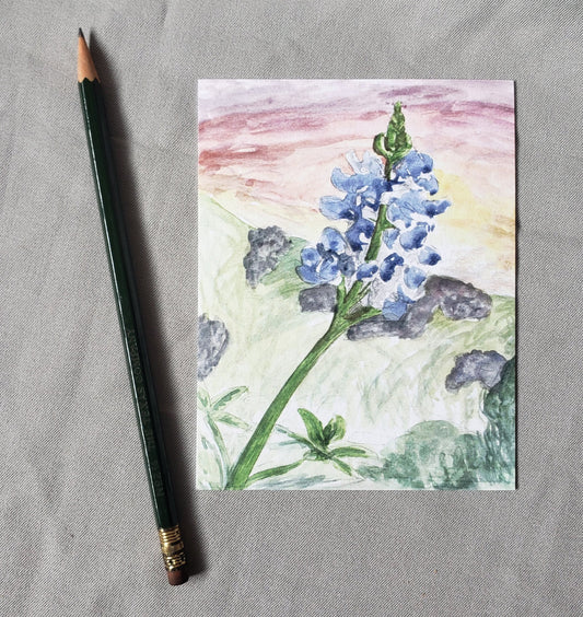 Texas Bluebonnet - State Flower Watercolor Painting Post Cards