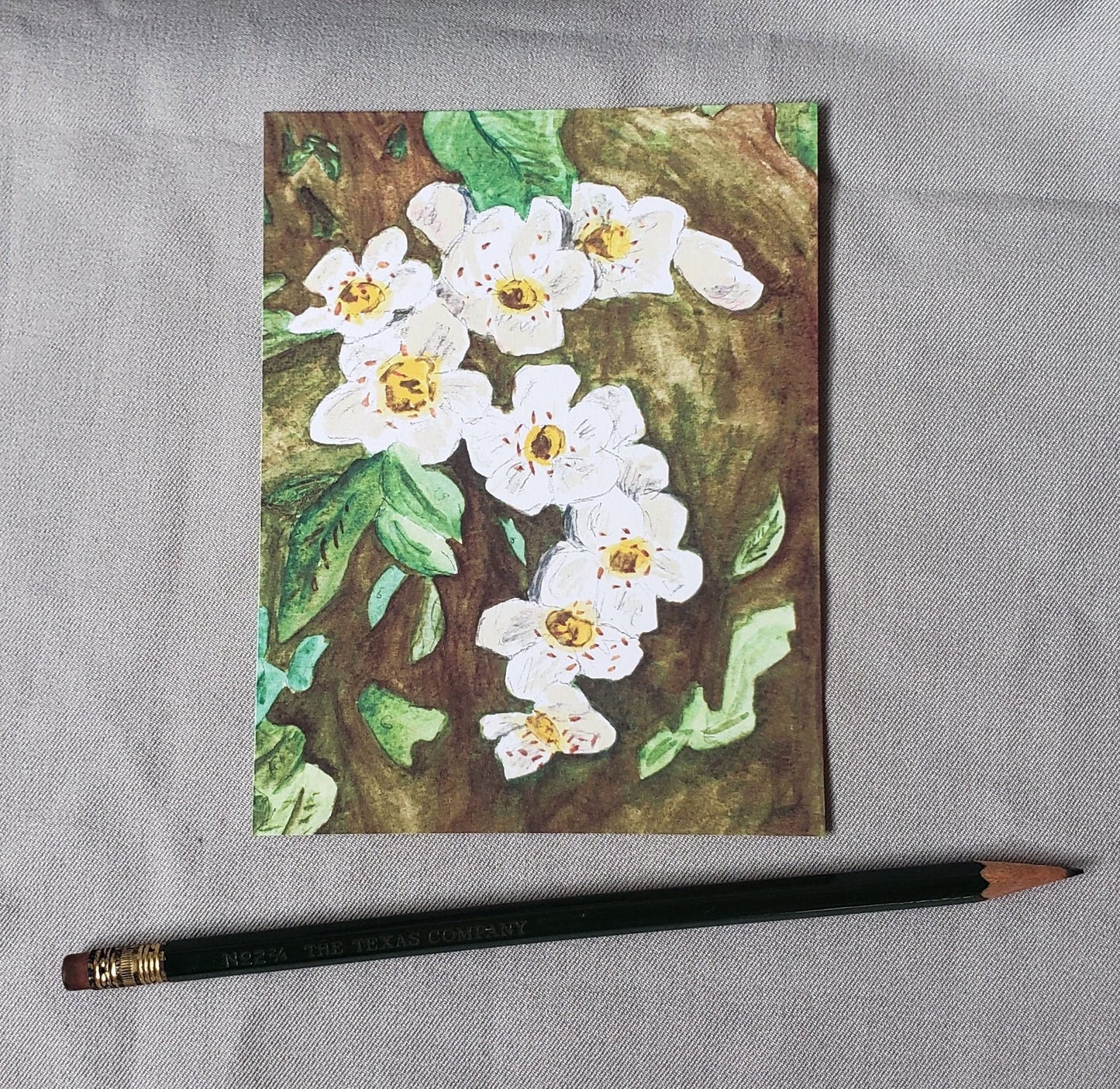 North Carolina Flowering Dogwood - State Flower Watercolor Painting Post Cards