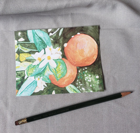 Florida Orange Blossom - State Flower Watercolor Painting Post Cards