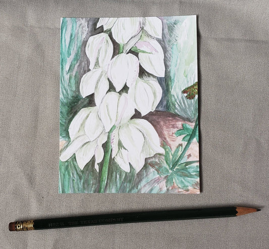 New Mexico Yucca Blossom - State Flower Watercolor Painting Post Cards