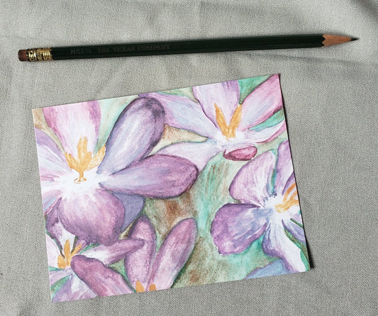 Illinois Violet - State Flower Watercolor Painting Post Cards