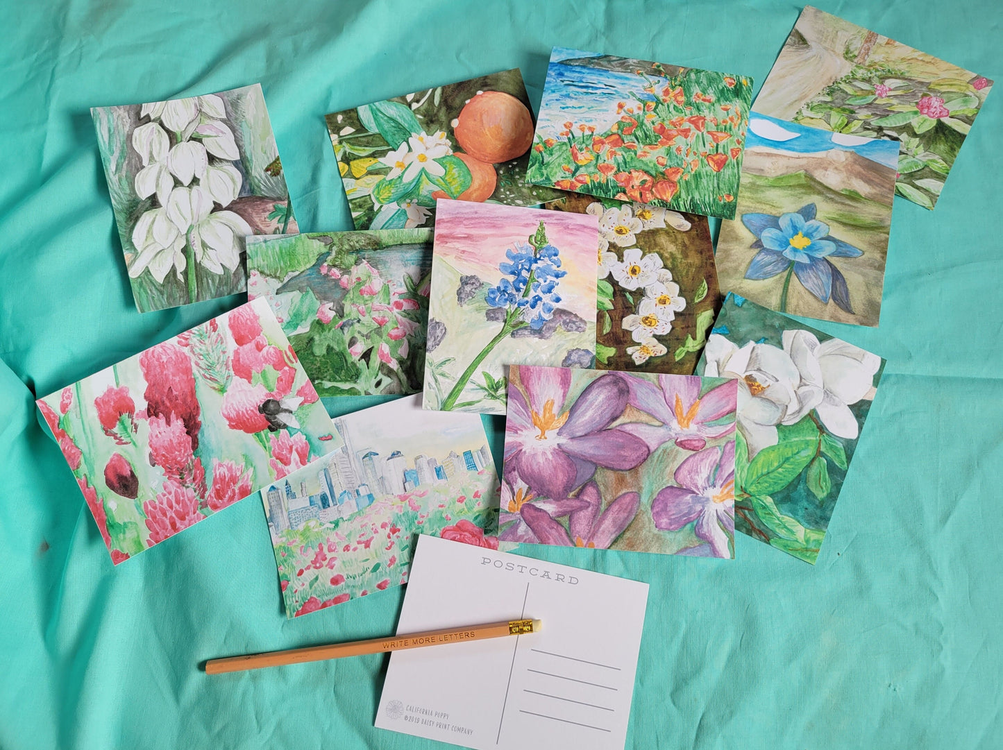 MULTIPACK State Flower Post Cards Bundle!