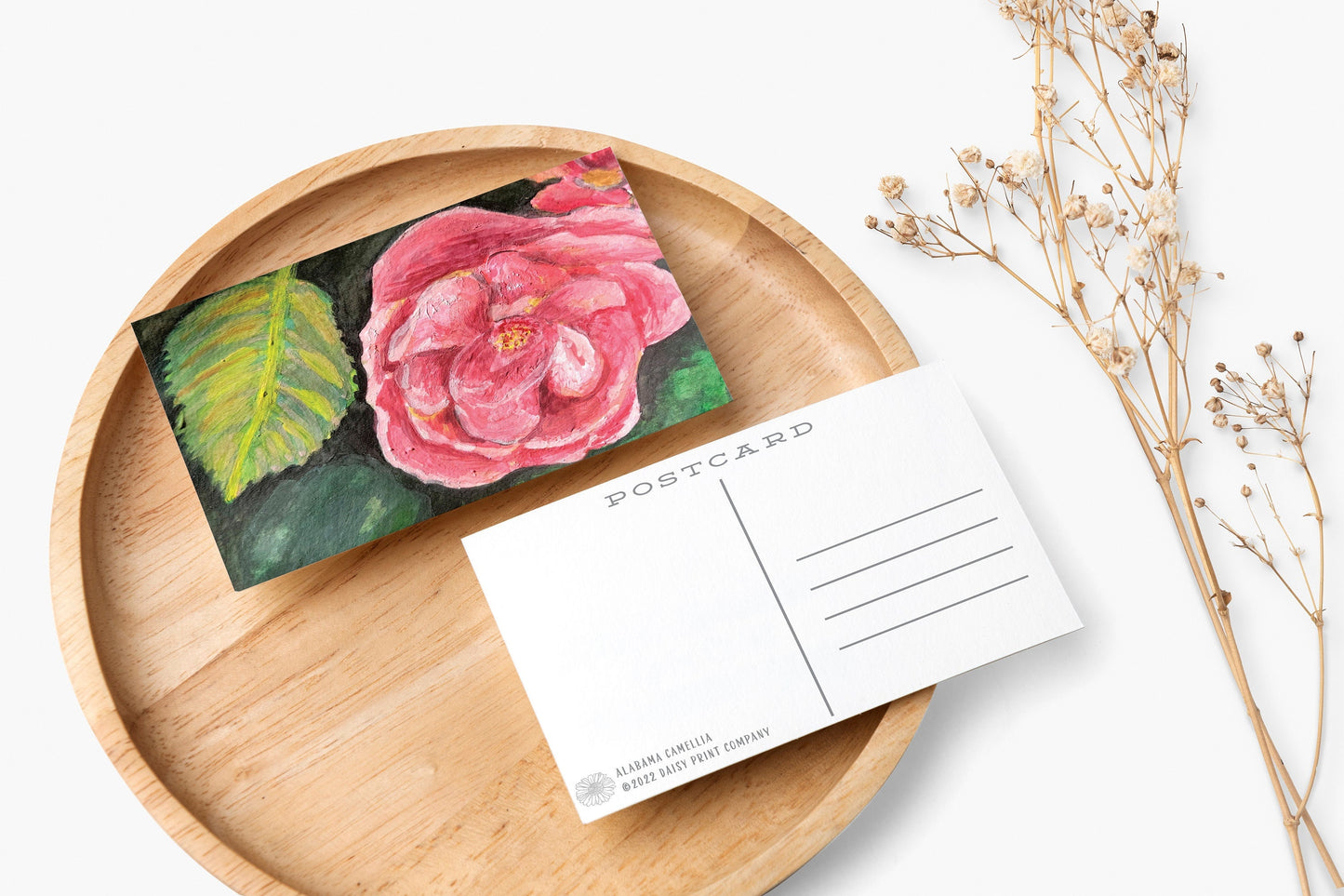 Alabama Camellia - State Flower Watercolor Painting Post Cards